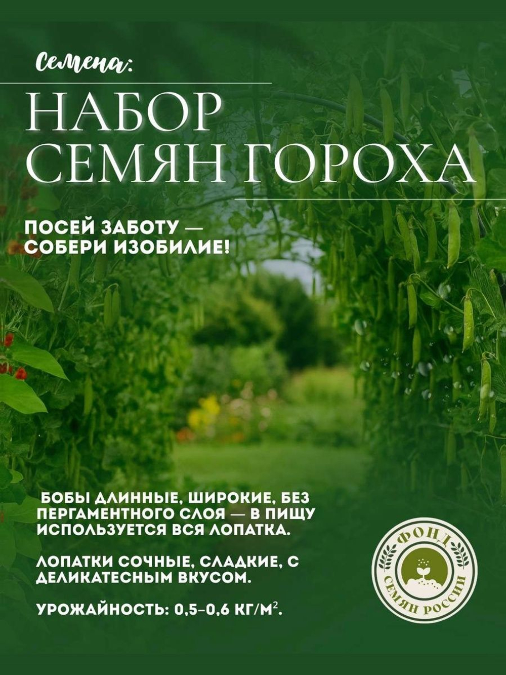Горох Овощной, Все фиолетово, семена, 10 гр.