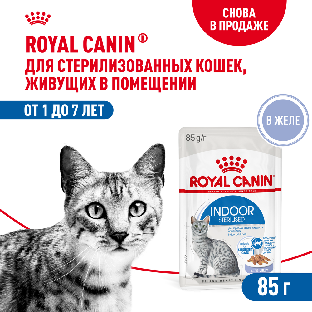 Royal Canin Indoor Sterilized Индор стерилайзд Корм влажный для стерилизованных кошек живущих в помещении желе 85г