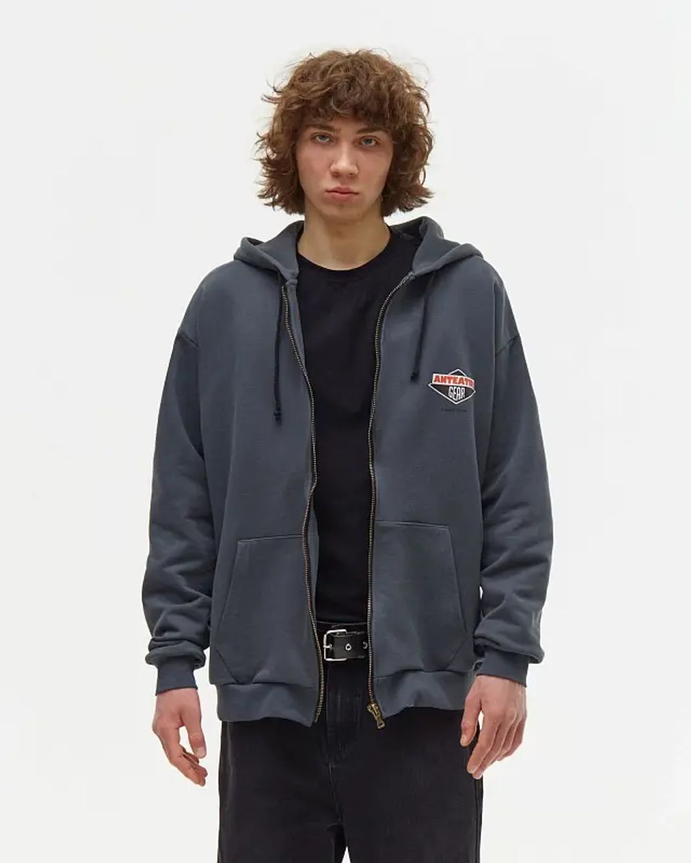 Купить Худи Anteater Phat Zip серое Худи Anteater Phat Zip серое