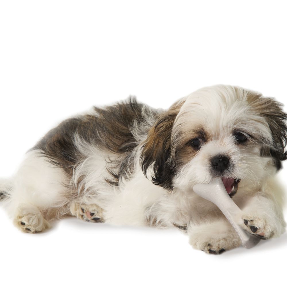 Игрушка Petstages для собак Deerhorn, с оленьими рогами 9 см очень маленькая