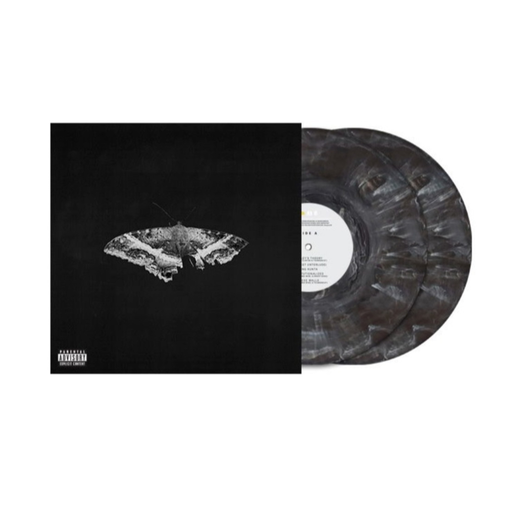 Kendrick Lamar / To Pimp A Butterfly (Limited Edition)(Coloured Vinyl)(2LP)