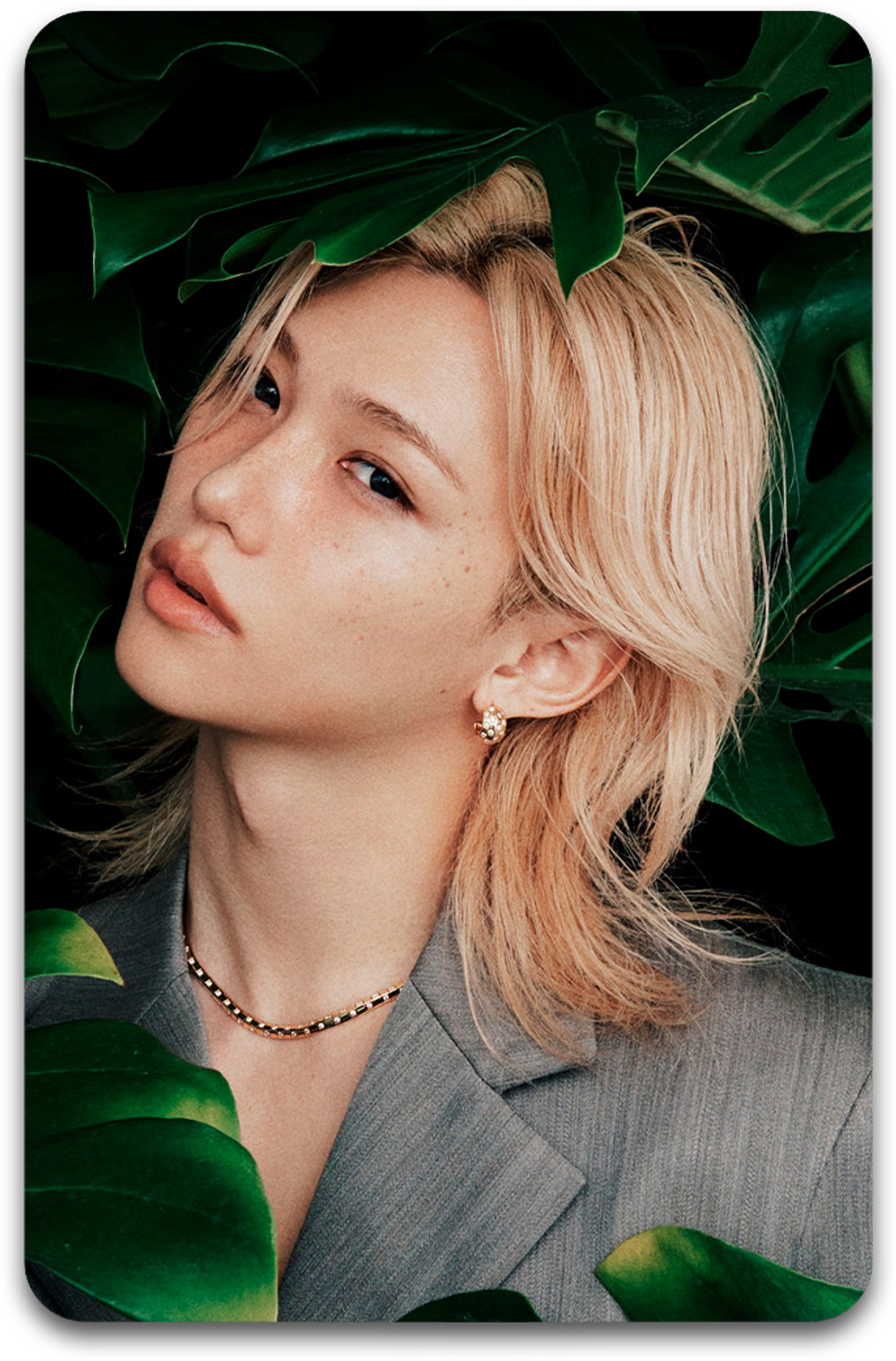 Карта / STRAY KIDS #5204