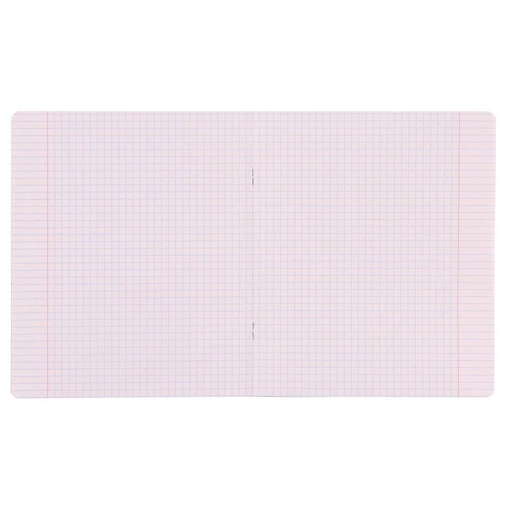 Тетрадь школьная А5 12л клетка,зеленая "Bright" (Erich Krause) микс цветов (комплект 5 шт)