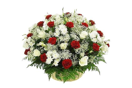 Ритуальная корзина "50 белых и красных роз, гипсофила, хризантемы"