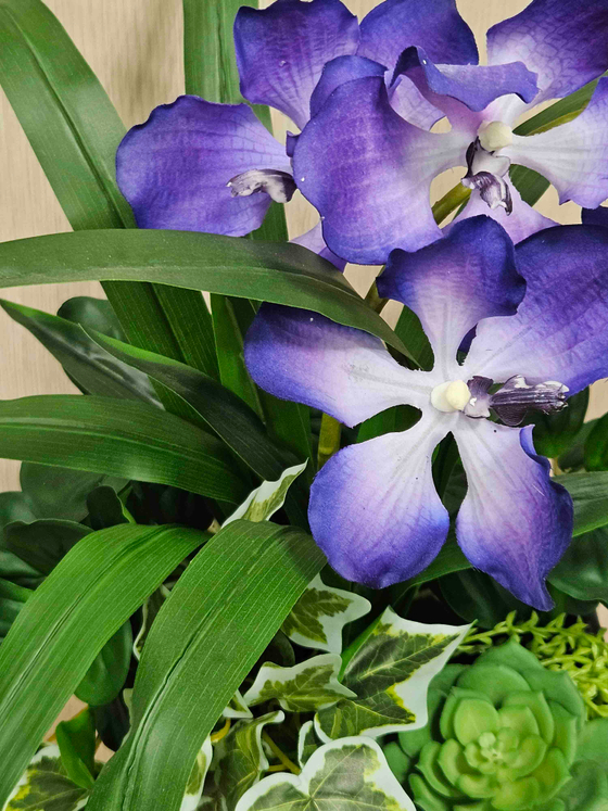 Композиция Сюрприз в кашпо