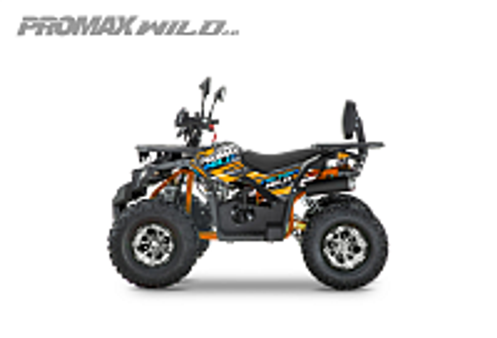 Квадроцикл PROMAX WILD 2.0 190 PRO (2025)