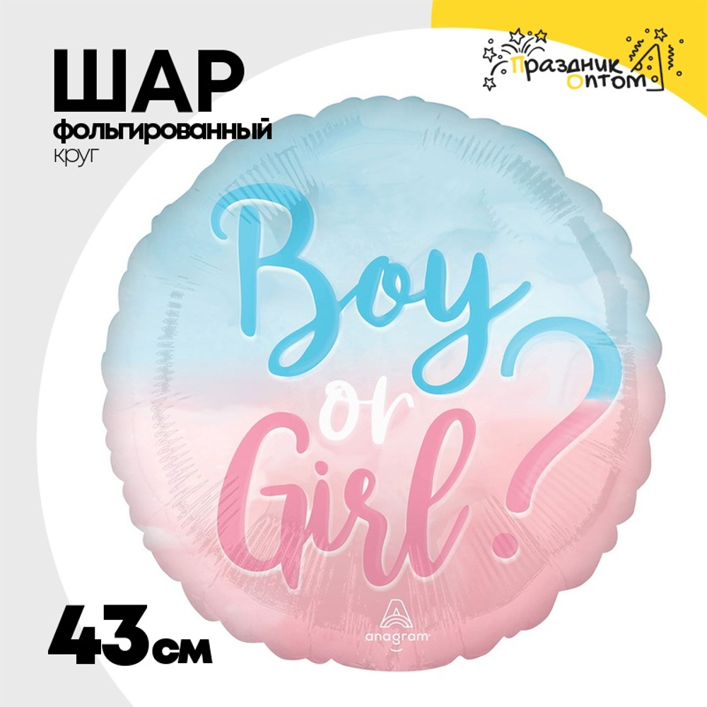 Шар Фольгированный Мальчик Девочка (Розовый, Голубой)
