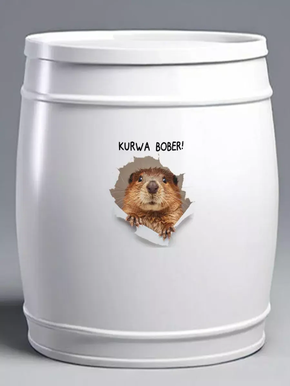 Наклейка интерьерная мем Бобр KURWA прикол