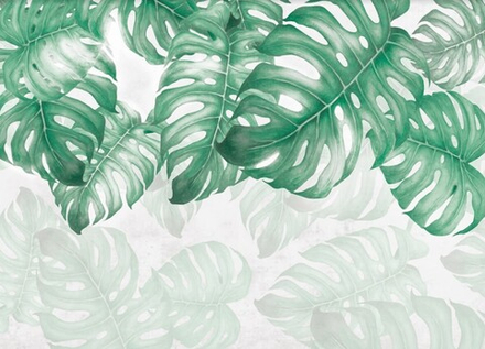 Мятные монстеры