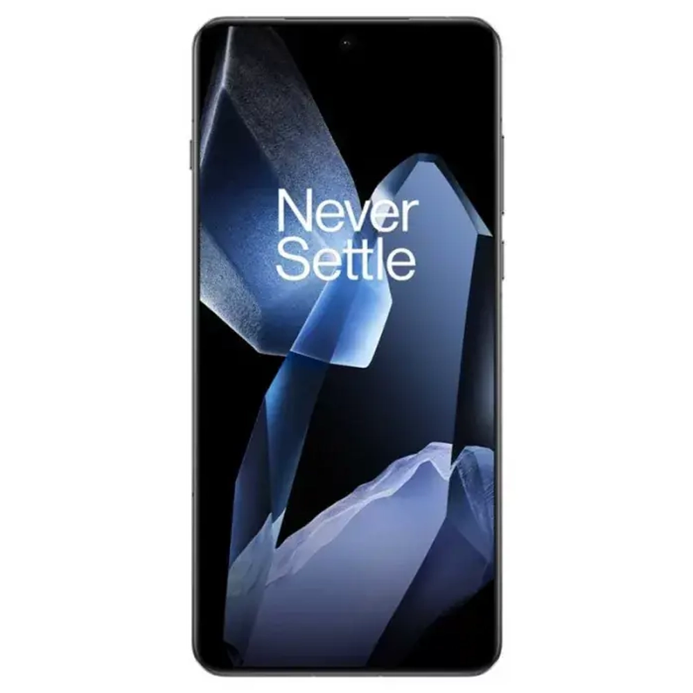 OnePlus 13