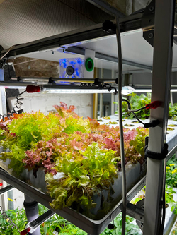 Гидропонная ферма «Лаборатория биолога 3.0» с принадлежностями