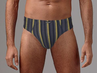 Набор из 2 трусов-слипов в полоску - серых и синих (Размер: L) (Цвет: серый с синим)