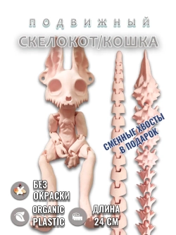 Скелет Кошки