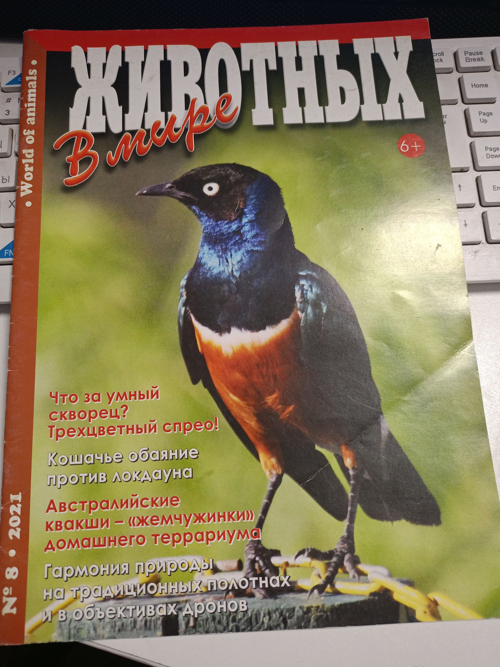Журнал В мире животных №8 2021 год