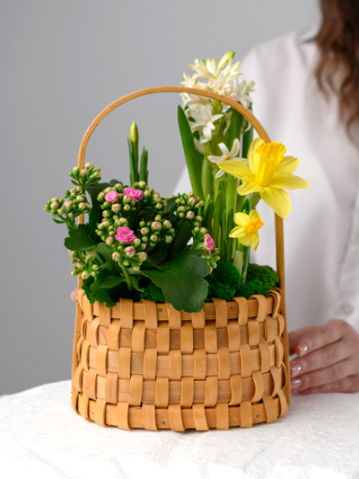 Весенняя капель