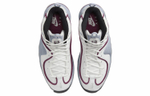 Кроссовки Nike Penny "Rosewood" (Женская размерная сетка)