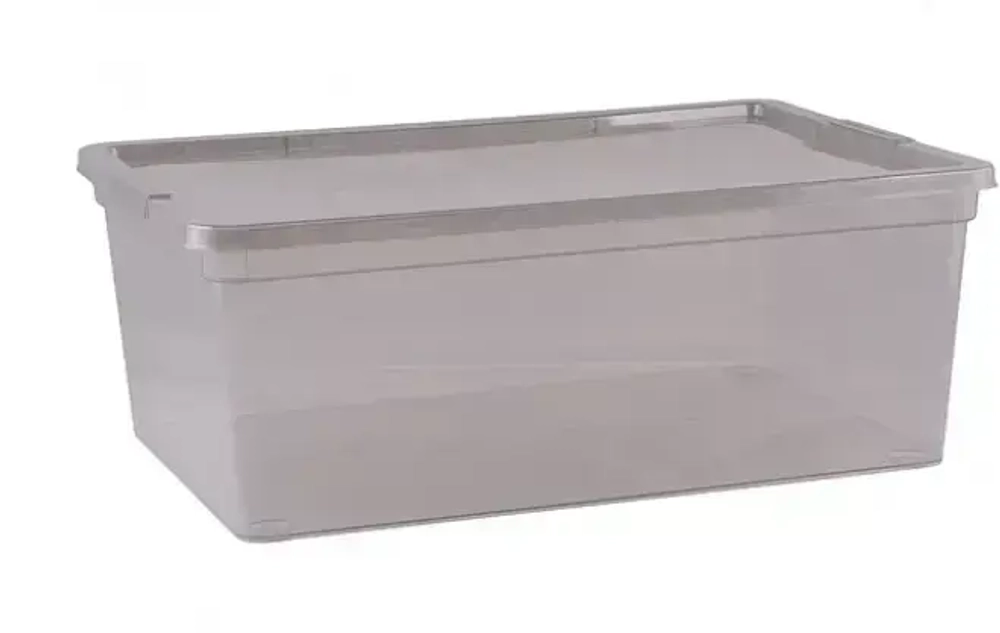 Контейнер универсальный с крышкой для хранения «MYSTERY», прозрачный, 37*26*14см, 10л