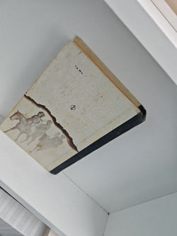 Ледяной поход. Поход и смерть генерала Корнилова. Дневник