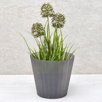 Кашпо Sand Orchid Cristallo 2л D160мм, ночная река