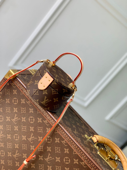 Louis Vuitton Scott