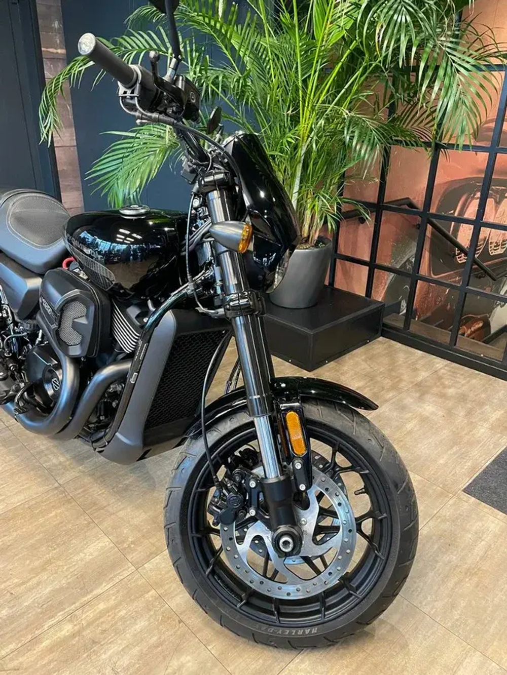 Harley-Davidson Street Rod, 2018