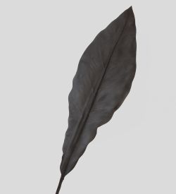 TR 605L Антуриум