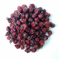 Шиповник Алтайский "Лесной"