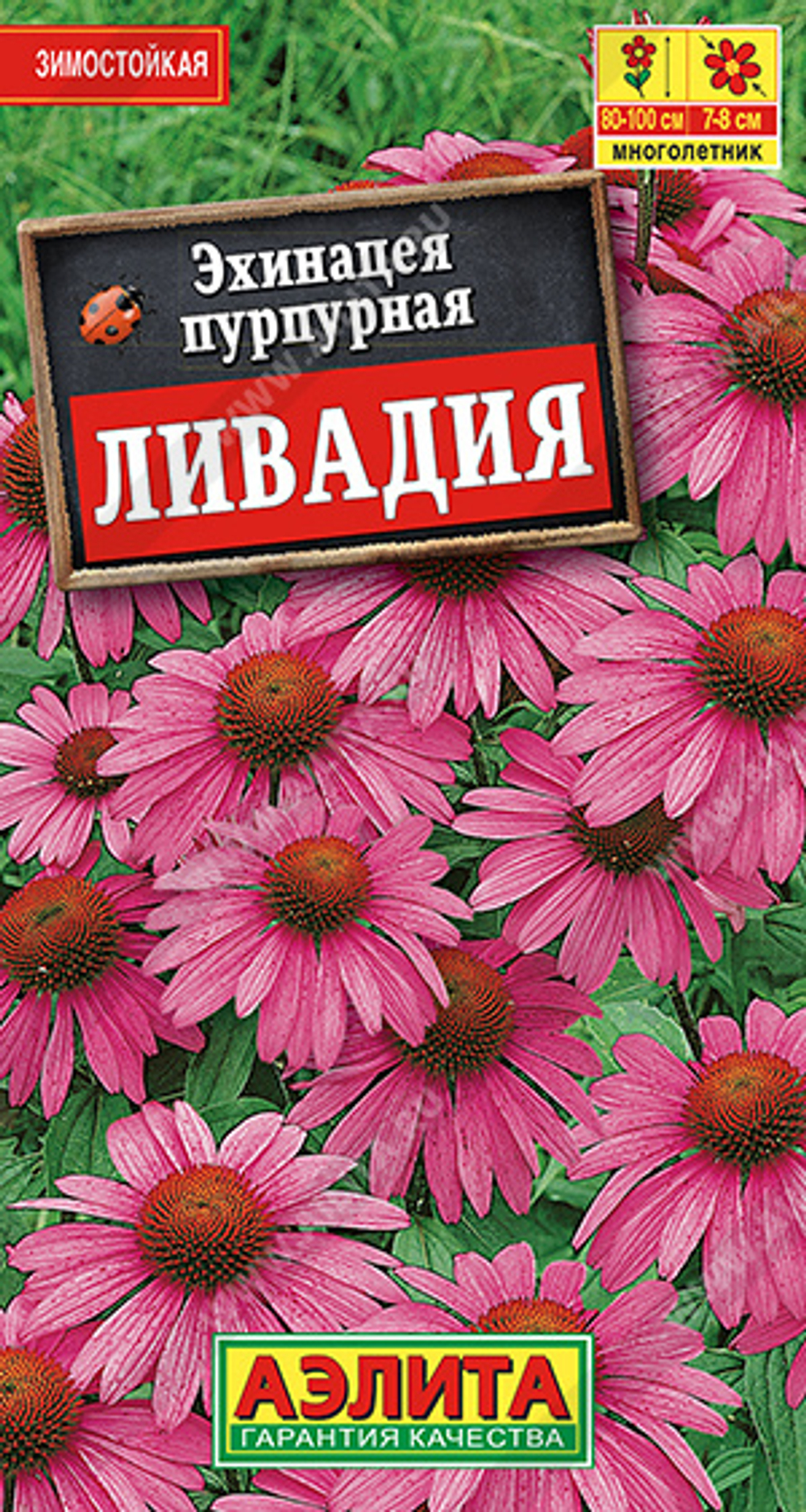Эхинацея Ливадия 0,3г Ц Аэлита