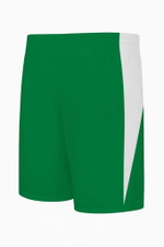 Шорты Nike Team Basketball