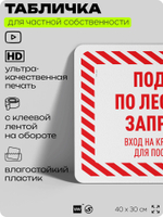 Табличка для частной территории "Подъем по лестнице запрещен", на дом, для участка, организаций и частных территорий, предупреждающая, 40х30 см, Silver Plane x Айдентика Технолоджи