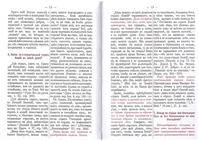Самоиспытание христианина. Священник Григорий Дьяченко