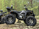 Квадроцикл PROMAX 320 DOMINATOR (2025)