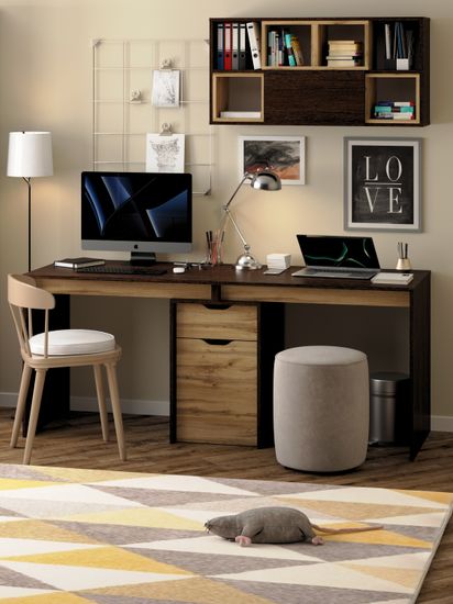 венге / дуб вотан