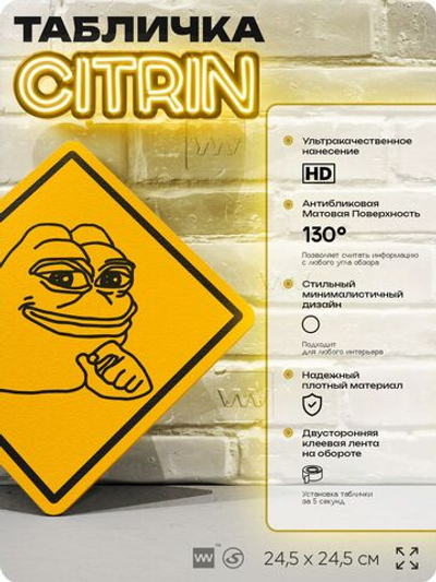Табличка мем "Лягушка Пепе" шуточная прикольная табличка на дверь и стену, для офиса и дома, декоративный знак, 24,5х24,5 см, пластиковая, Айдентика Технолоджи
