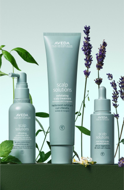 Aveda Scalp Solutions Refreshing Protective Mist - защитный спрей для жирных волос /   100  ml  / GTIN 18084040614
