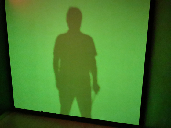 Учебный экспонат Замороженные тени