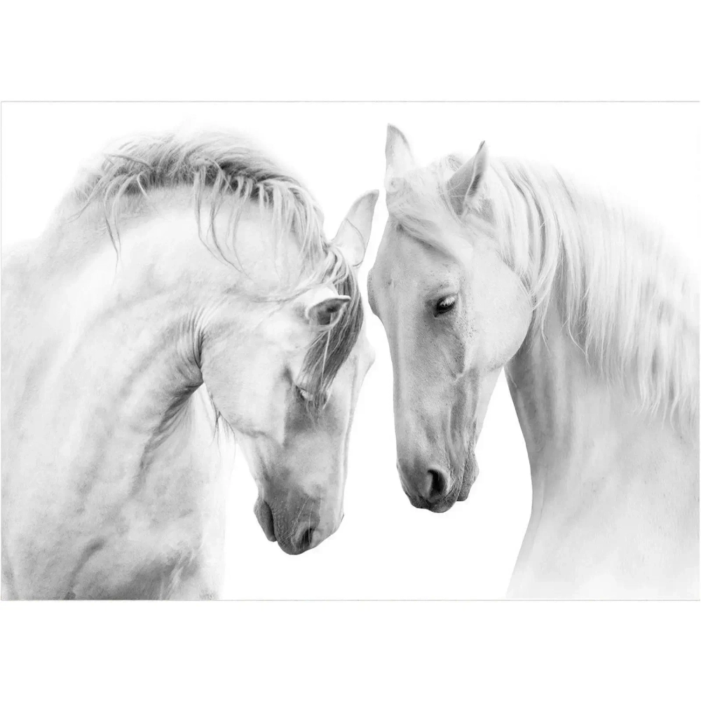Картина интерьерная без подрамника «ГРОНТЭ», Пегас и Адель, 50*70см (термоусадочная пленка)