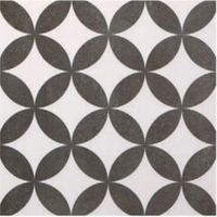 STN Ceramica Veinte D&N 02 Mt 20x20