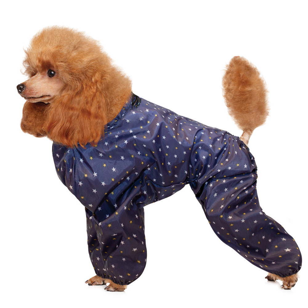 Комбинезон-дождевик "Пудель", 31см, Gamma