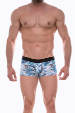 Трусы-боксеры с принтом в виде китов (Размер: L) (Цвет: голубой)