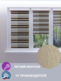 Рулонные шторы День-Ночь Зебра 58х110 см