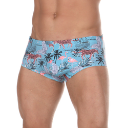 Мужские плавки бирюзовые с принтом DOREANSE 3831