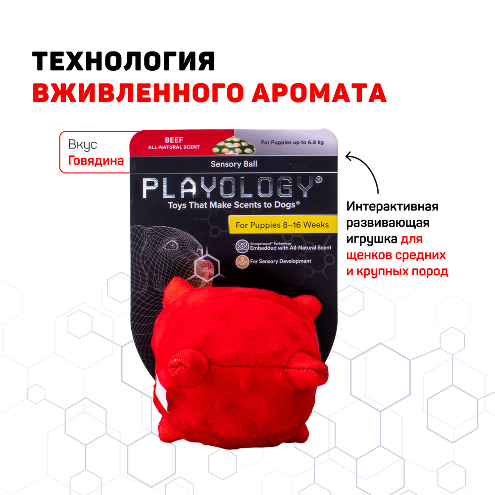 Сенсорный плюшевый мяч Playology PUPPY SENSORY BALL 11 см для щенков мелких и средних пород 8-16 недель с ароматом говядины, цвет красный