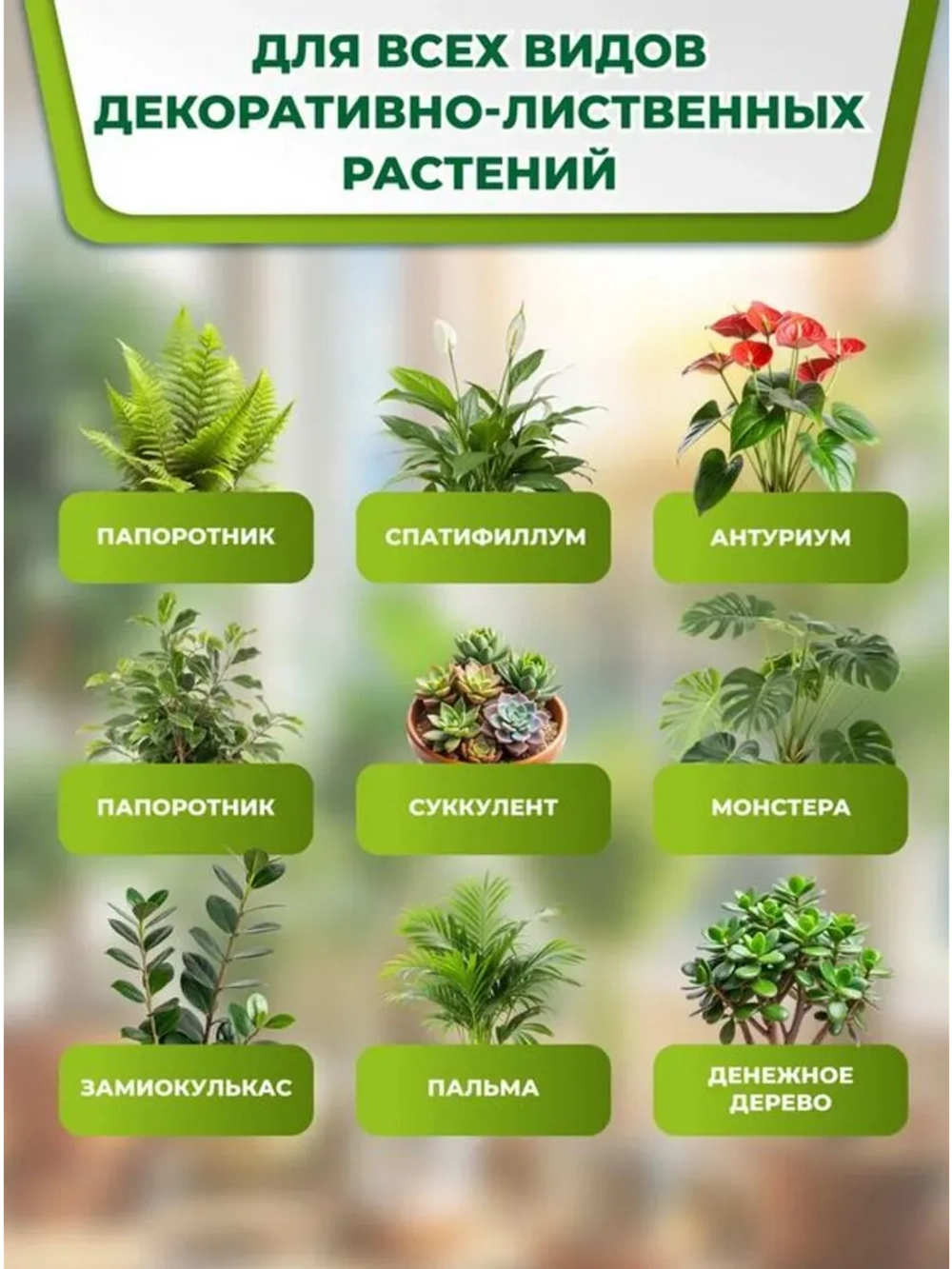 Удобрение для фикусов и пальм в стиках 20шт