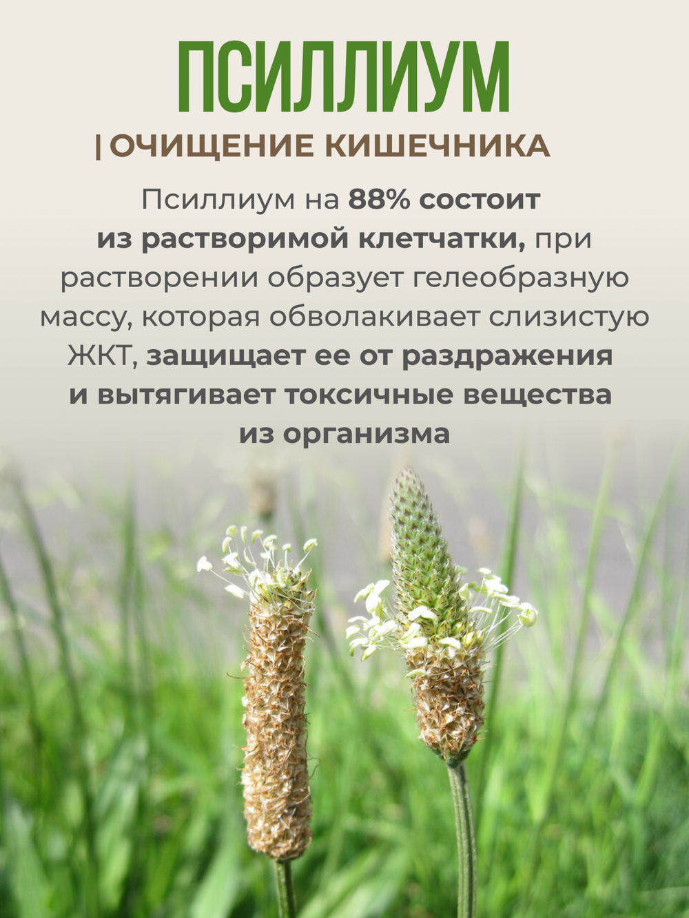 Псиллиум (300 гр)