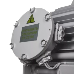 Электродвигатель ВАО7М 450 LB2 УХЛ1 РВЕхdI Mb 6000В IP54 400/3000 IM1001