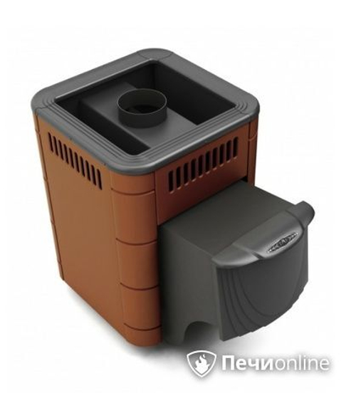 Печь для бани TMF Оса Inox дверь антрацит терракота