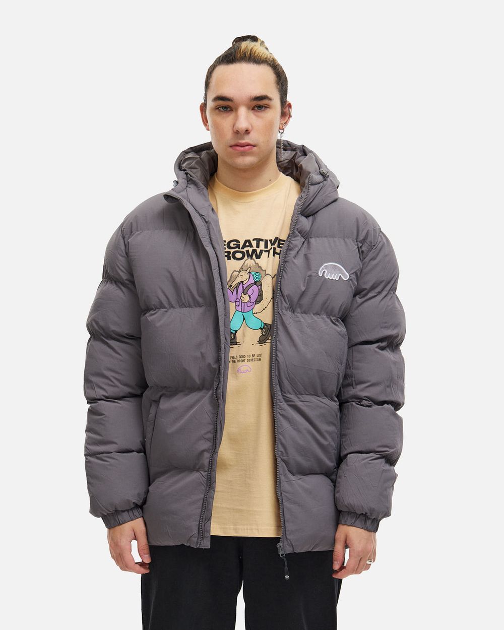 Купить Пуховик Anteater AW25 Downjacket Hooded Crispy серый Пуховик Anteater AW25 Downjacket Hooded Crispy серый