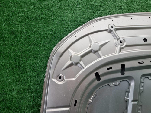 Капот Hongqi H9 (2020-н.в.)