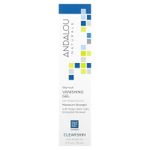 Andalou Naturals, гель для устранения несовершенств, максимальная сила, чистая кожа, 18 мл (6 жидких унций)